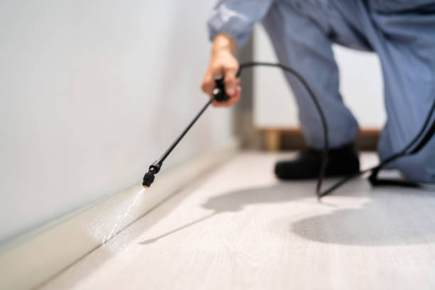 Licensed Mosquito Control service in Springfield, IL - Nex Pest Control