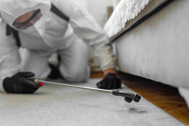Professional Mosquito Control technician working in Springfield, IL