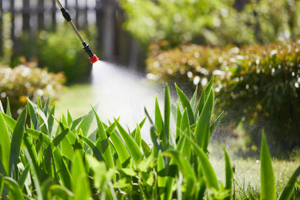 24/7 Emergency Mosquito Control experts in Springfield, IL