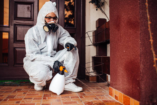 Reliable Mosquito Control contractor in Springfield, IL by Nex Pest Control