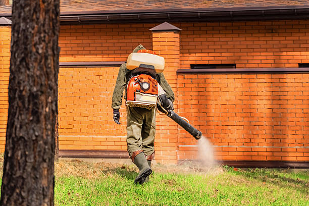 Top rated local Mosquito Control specialists in Springfield, IL